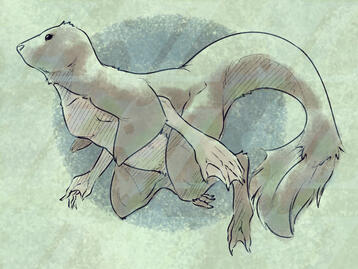 (Sketch) Selkie