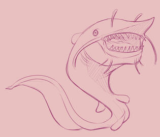 (Sketch) Sharfish