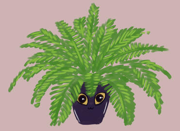 (Sketch) Cat Fern