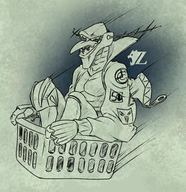 Tungsten in the Basket Tungsten in the Basket